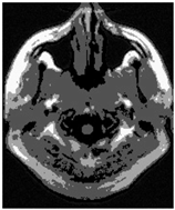 Applsci 15 02355 i003