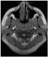 Applsci 15 02355 i007