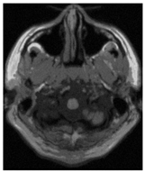 Applsci 15 02355 i019