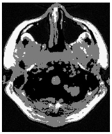 Applsci 15 02355 i020