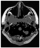 Applsci 15 02355 i021