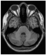 Applsci 15 02355 i025