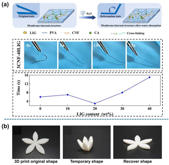 Applsci 15 02419 g020