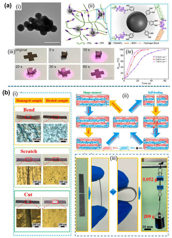 Applsci 15 02419 g026