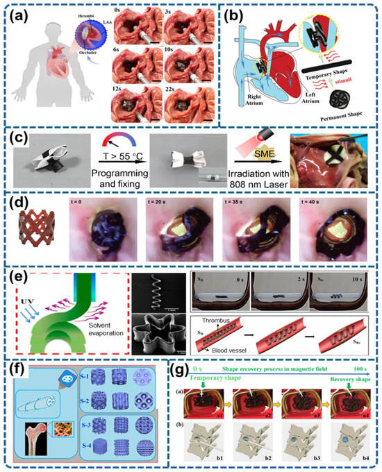 Applsci 15 02419 g027