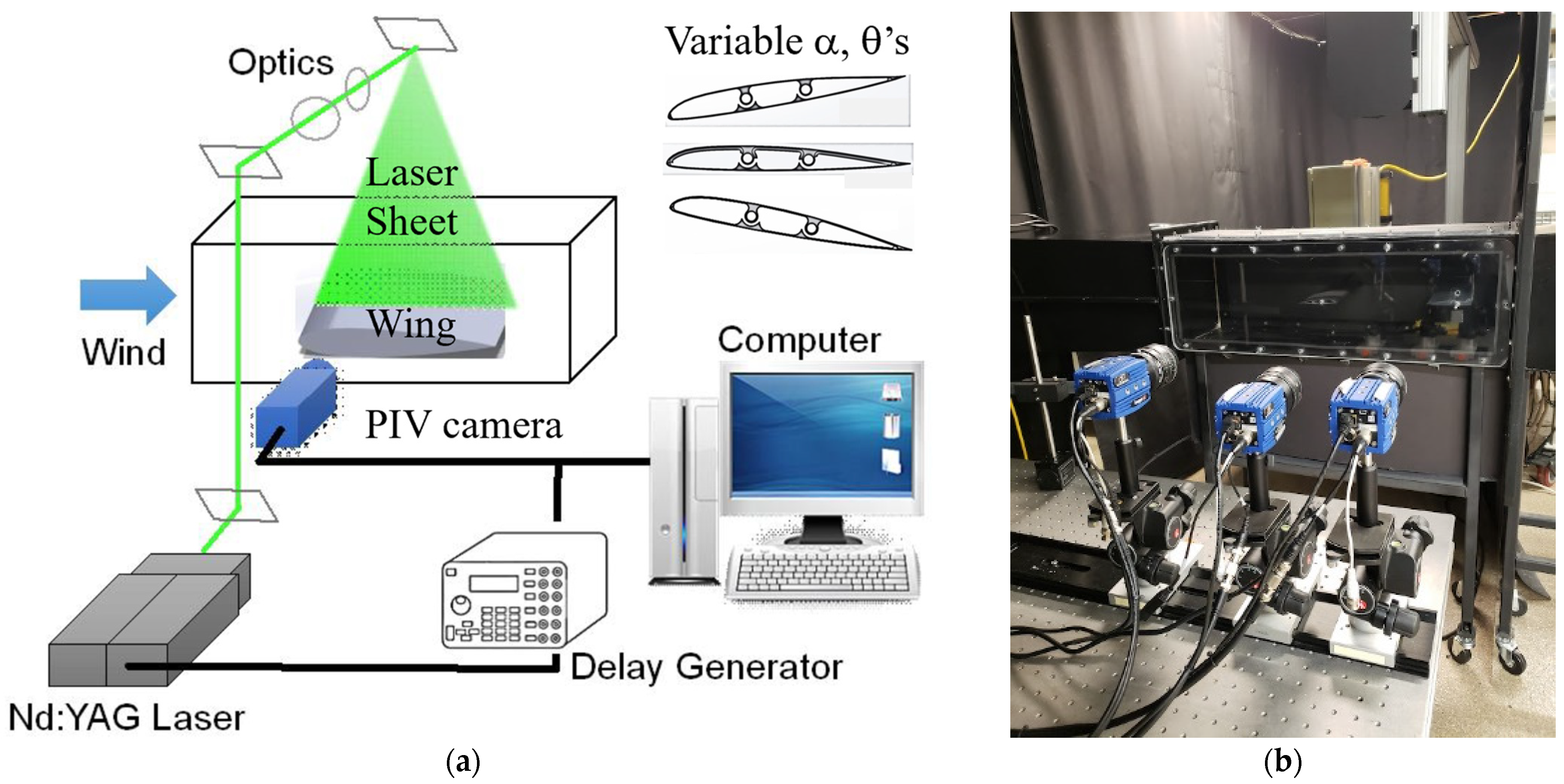 Applsci 15 02455 g008