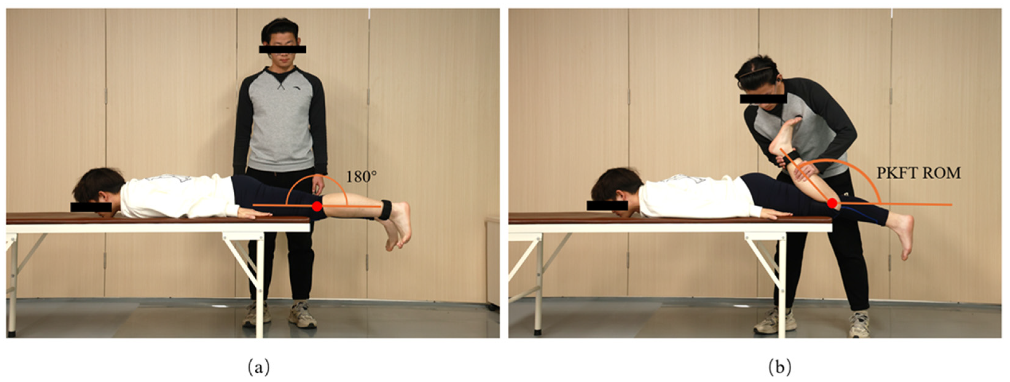 Applsci 15 02505 g002 Applsci 15 02505 g002