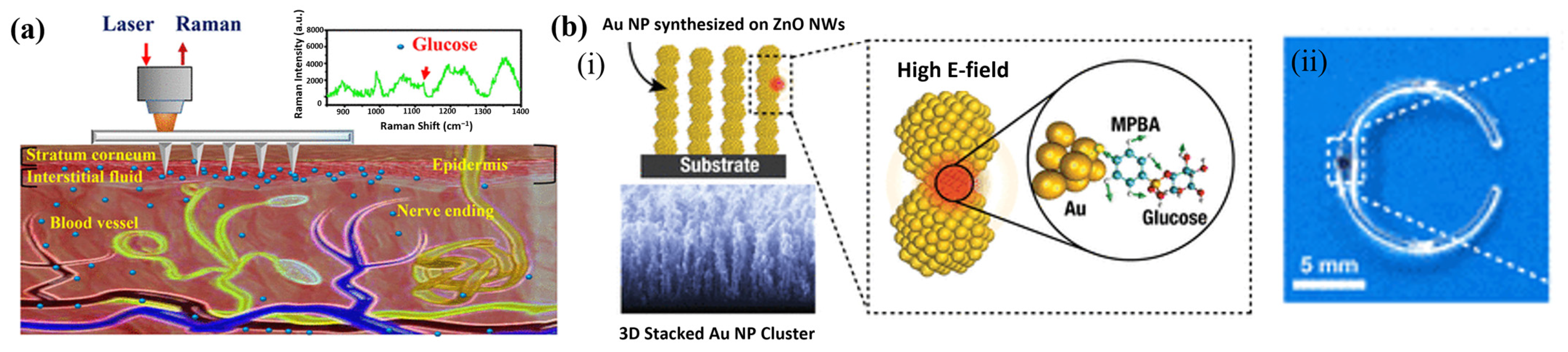 Applsci 15 02523 g006