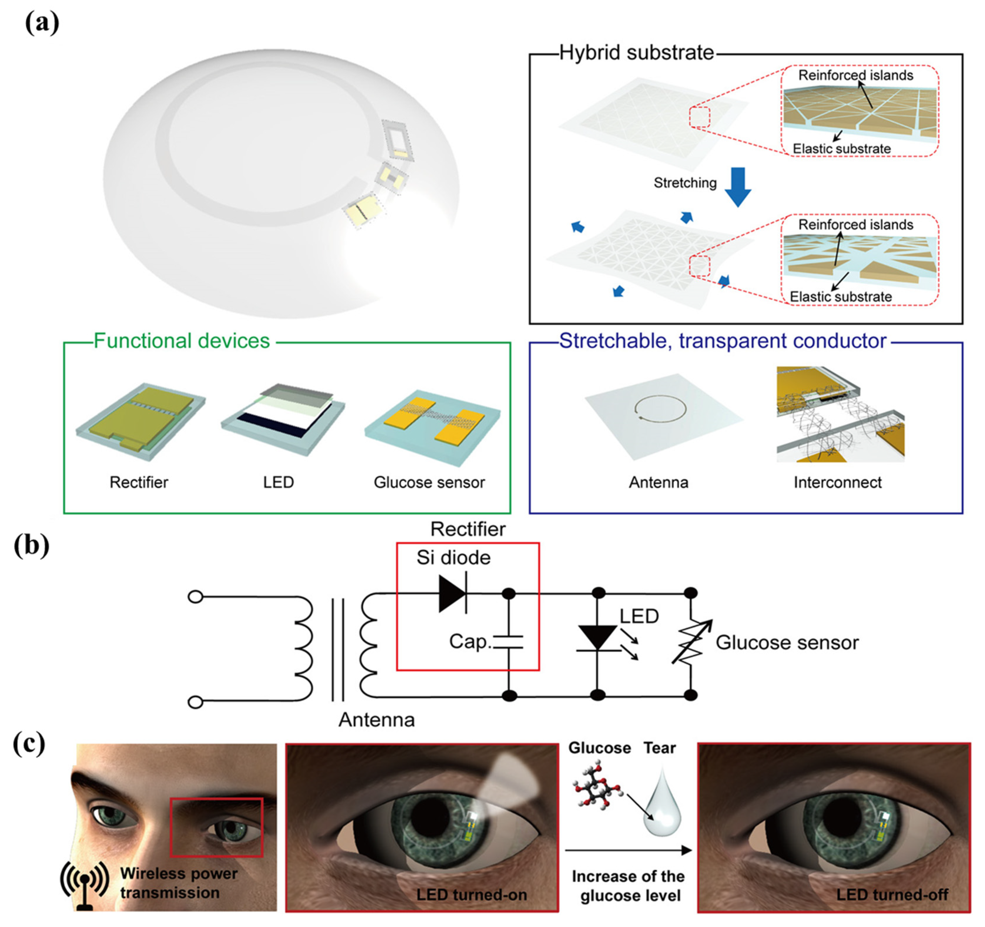 Applsci 15 02523 g012