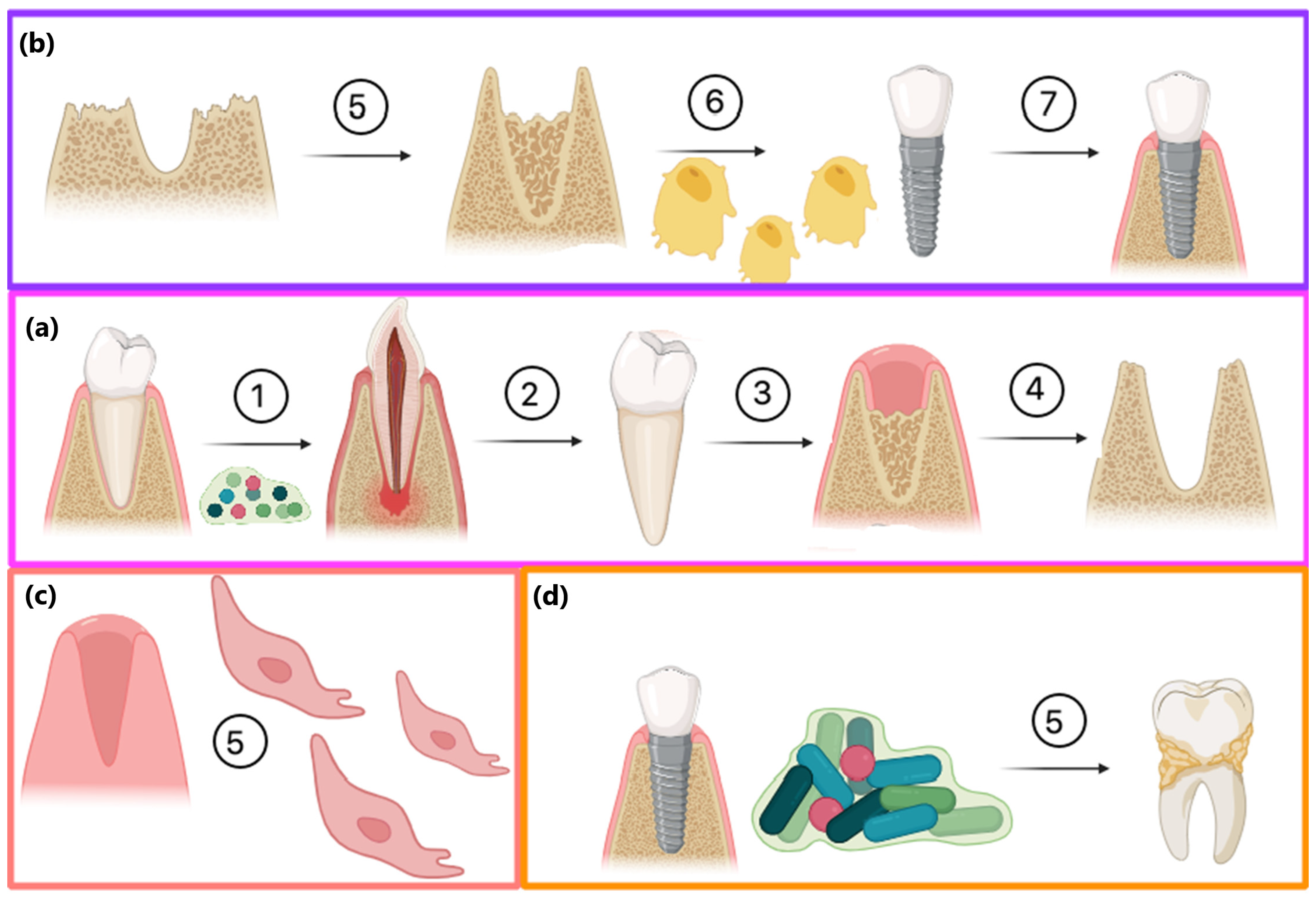 Applsci 15 02578 g012