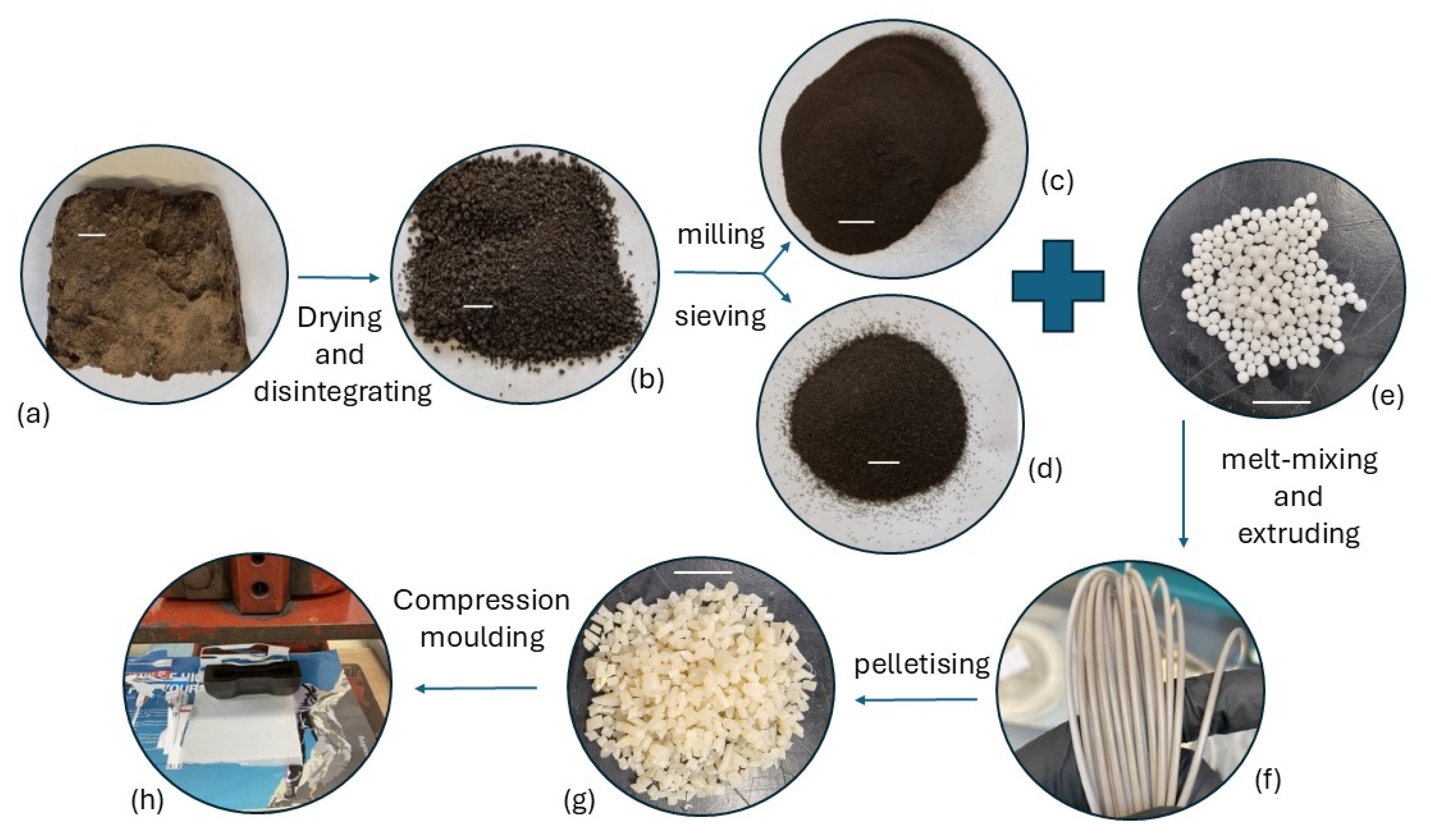 Applsci 15 02591 g001