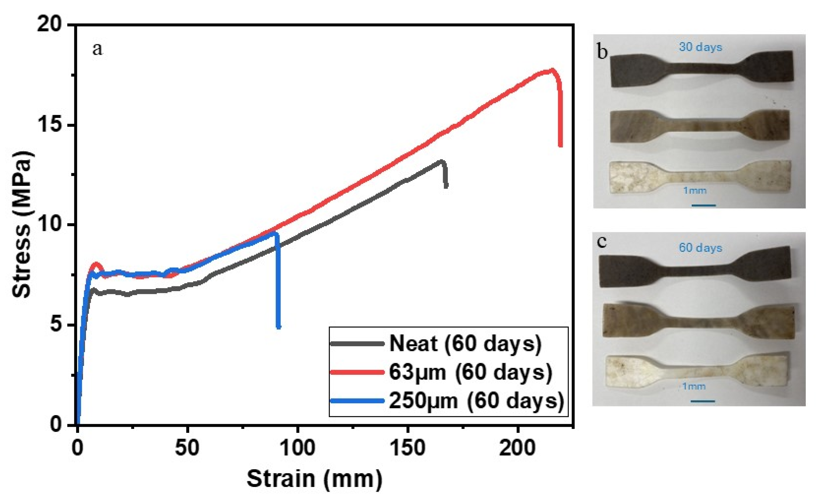Applsci 15 02591 g003