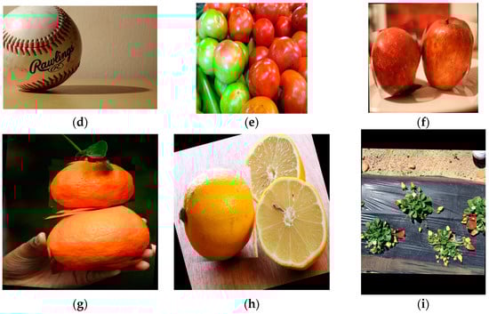 Applsci 15 02615 g0a1b