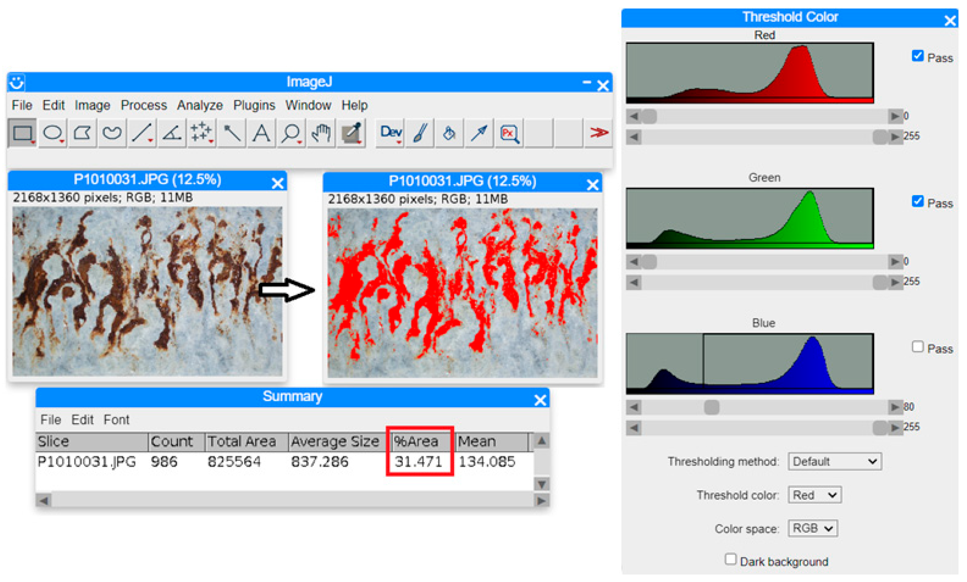 Applsci 15 02626 g005