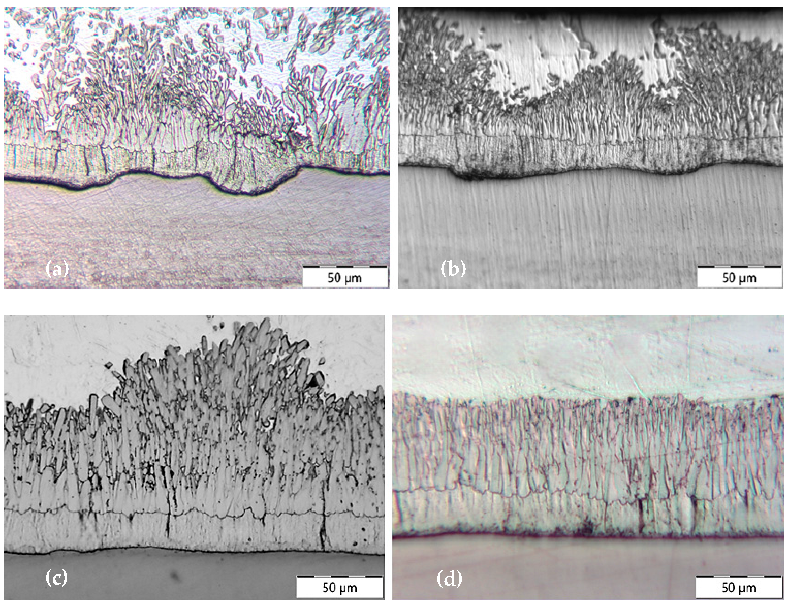 Applsci 15 02626 g014