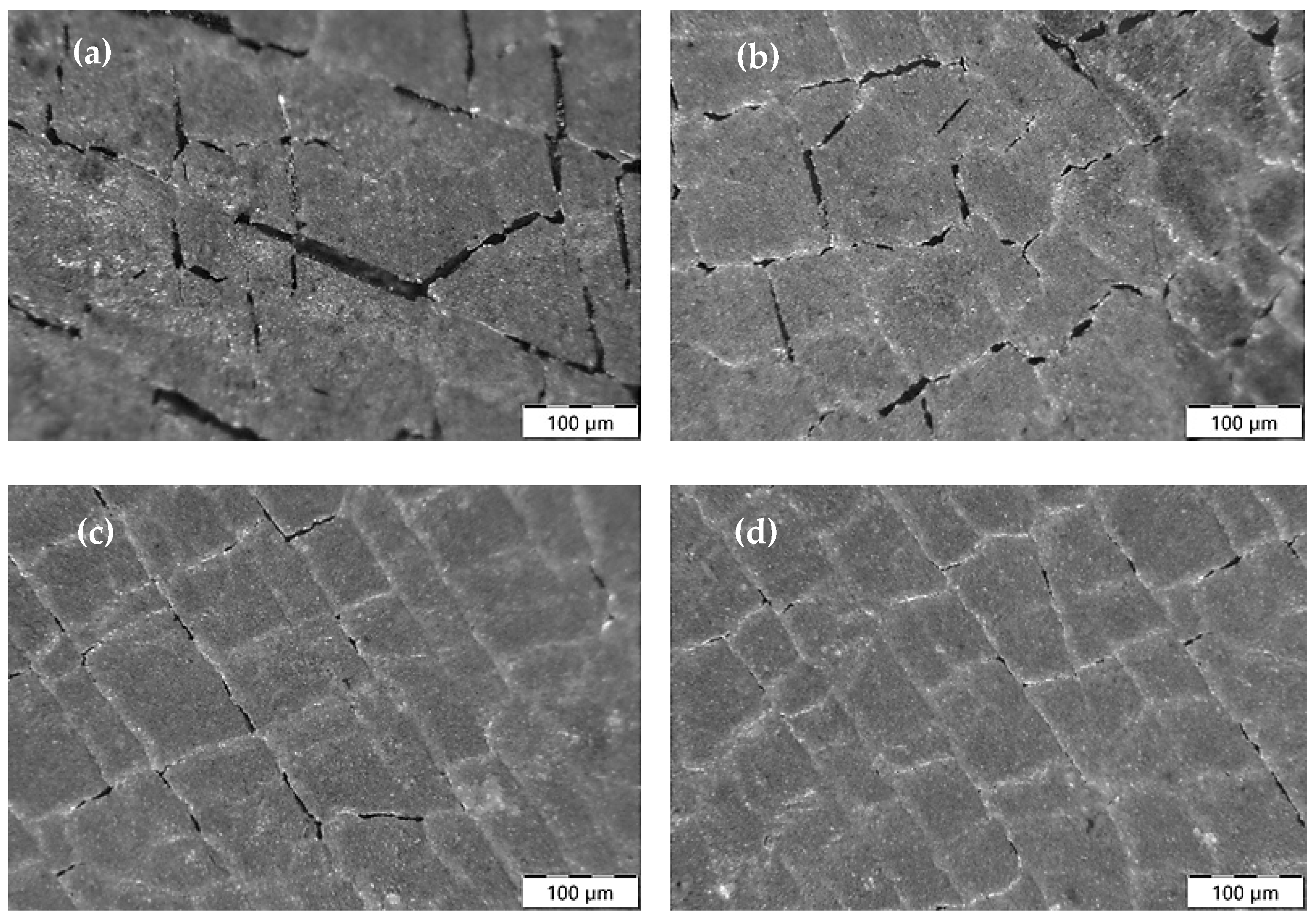 Applsci 15 02626 g017