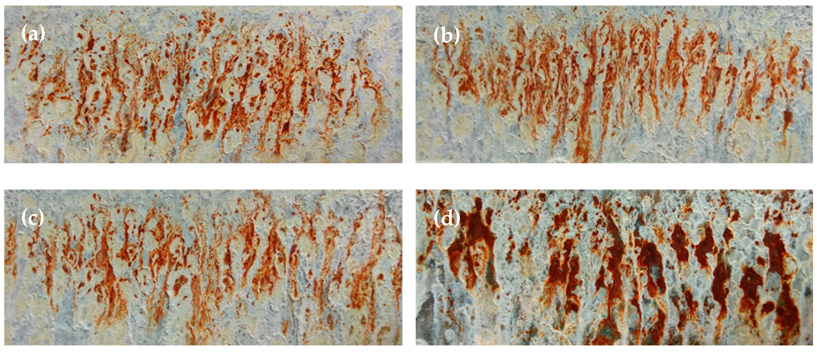 Applsci 15 02626 g019