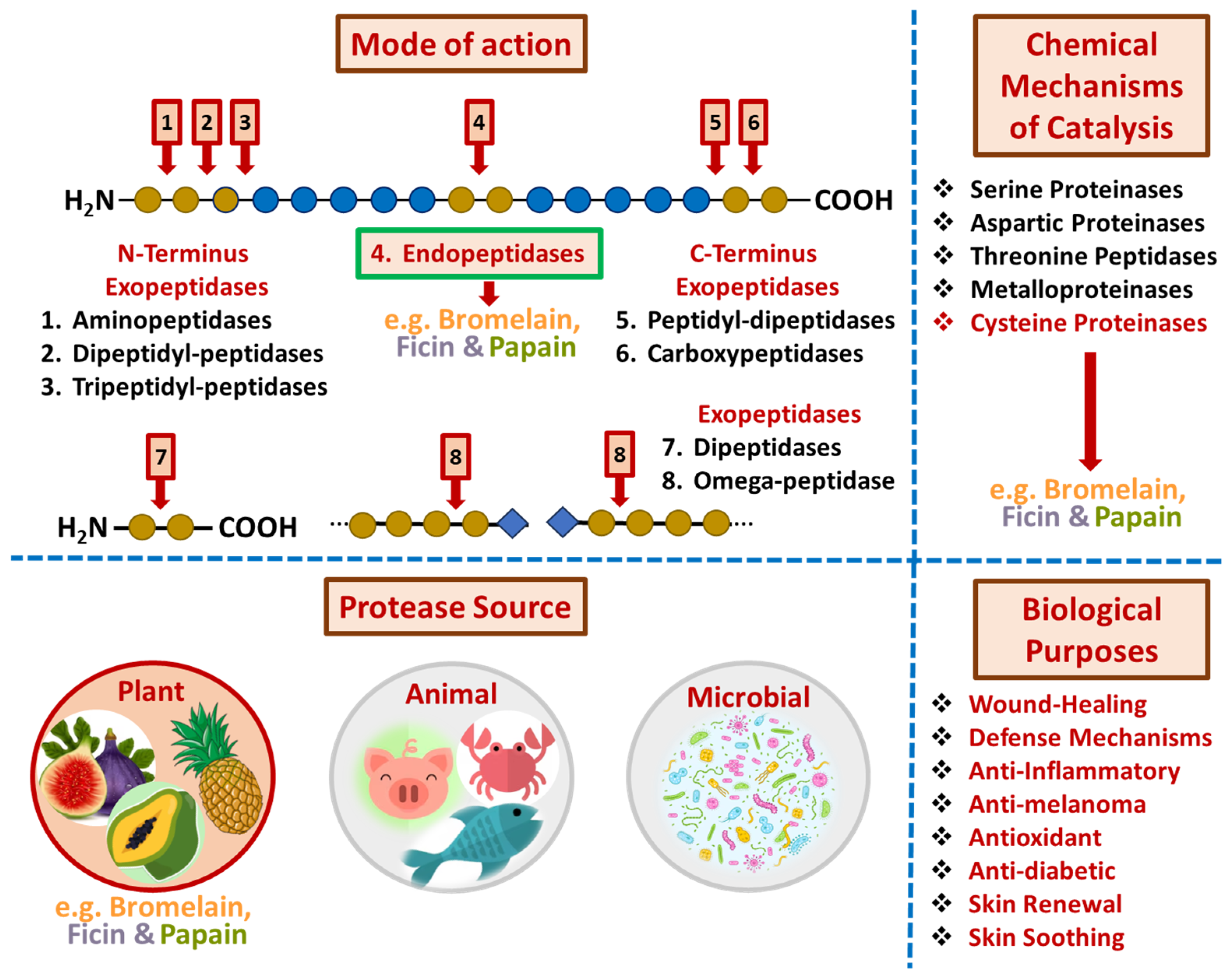 Applsci 15 02637 g002 Applsci 15 02637 g002