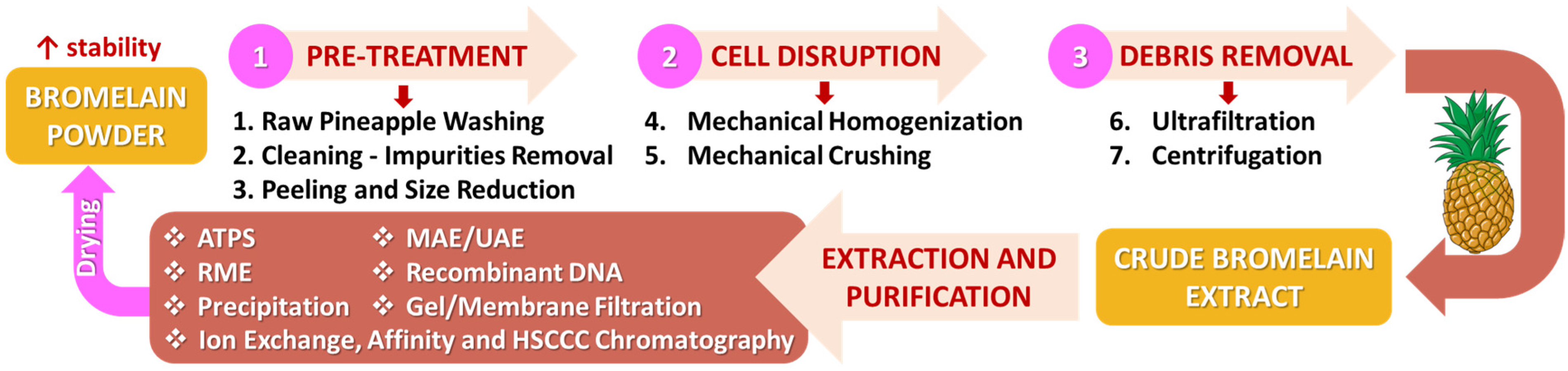 Applsci 15 02637 g003 Applsci 15 02637 g003