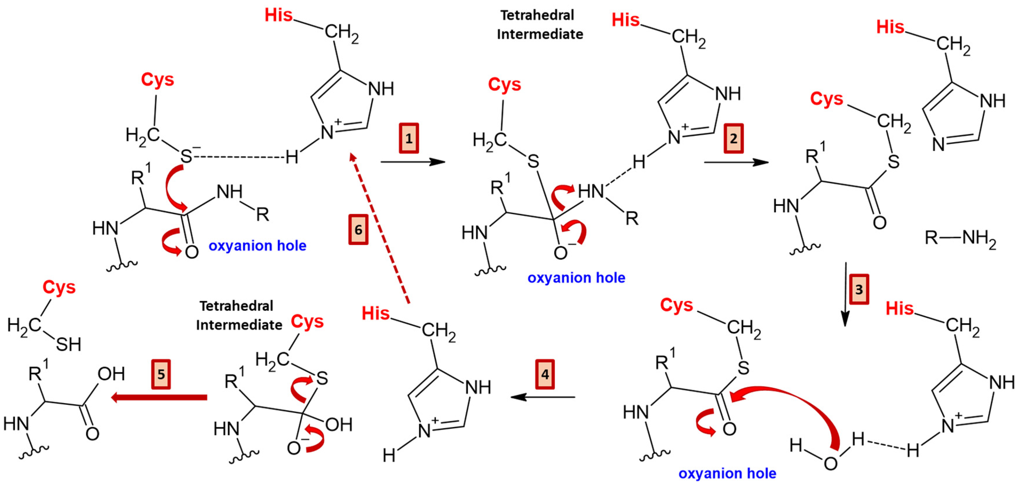 Applsci 15 02637 g006 Applsci 15 02637 g006