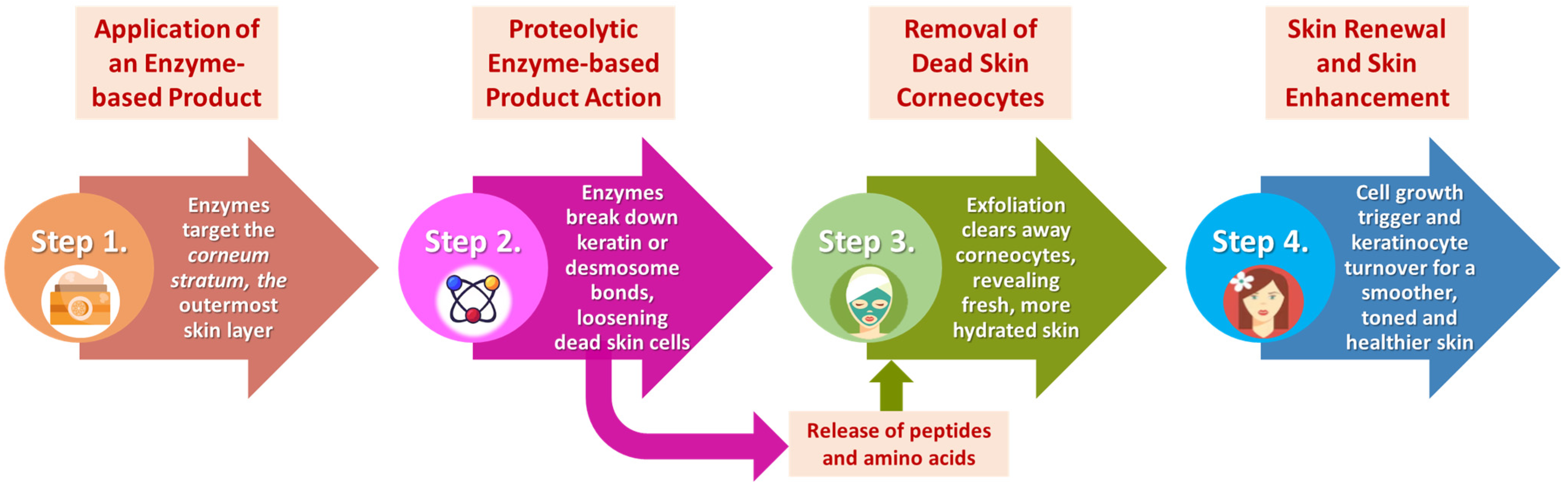 Applsci 15 02637 g007 Applsci 15 02637 g007