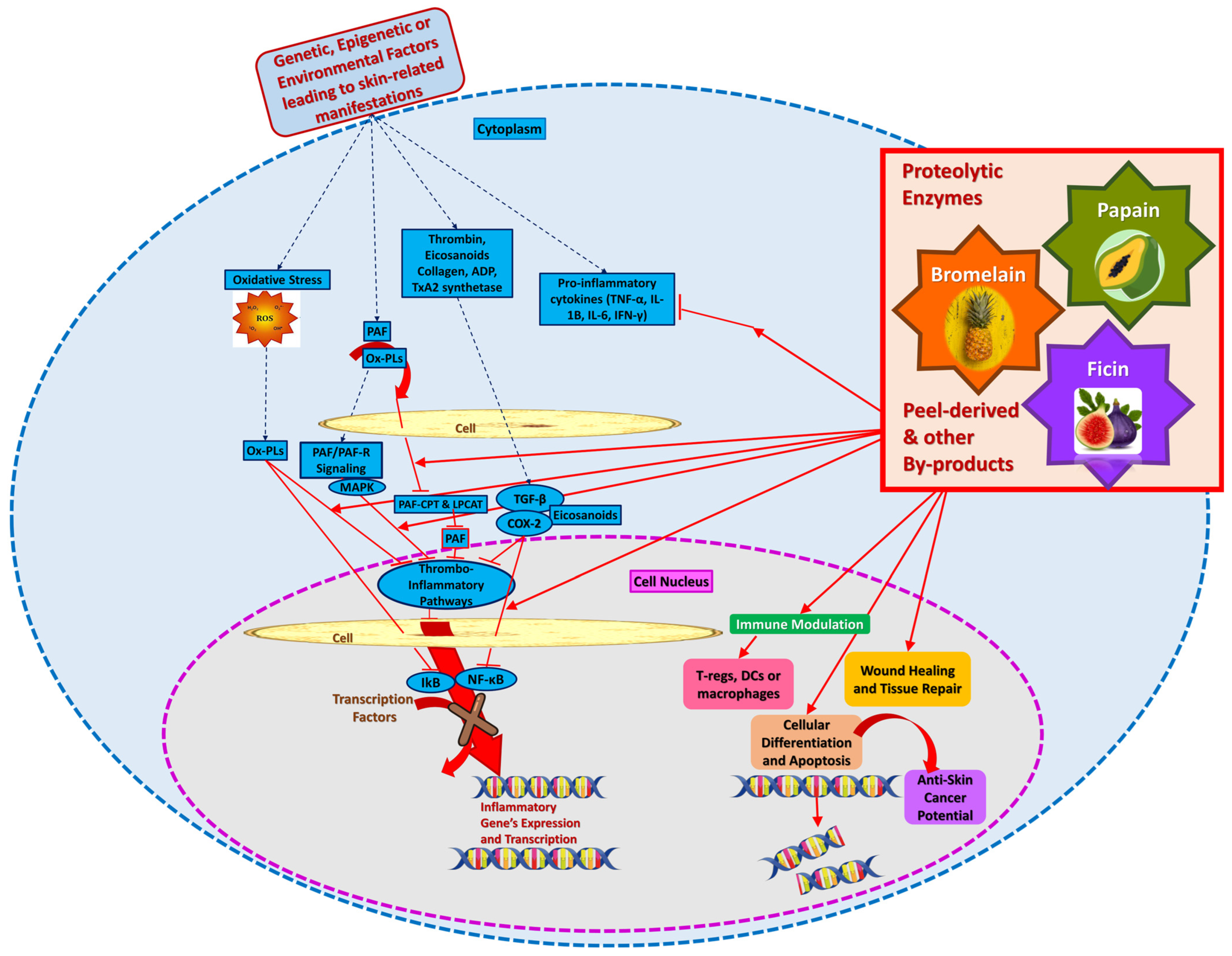 Applsci 15 02637 g008 Applsci 15 02637 g008