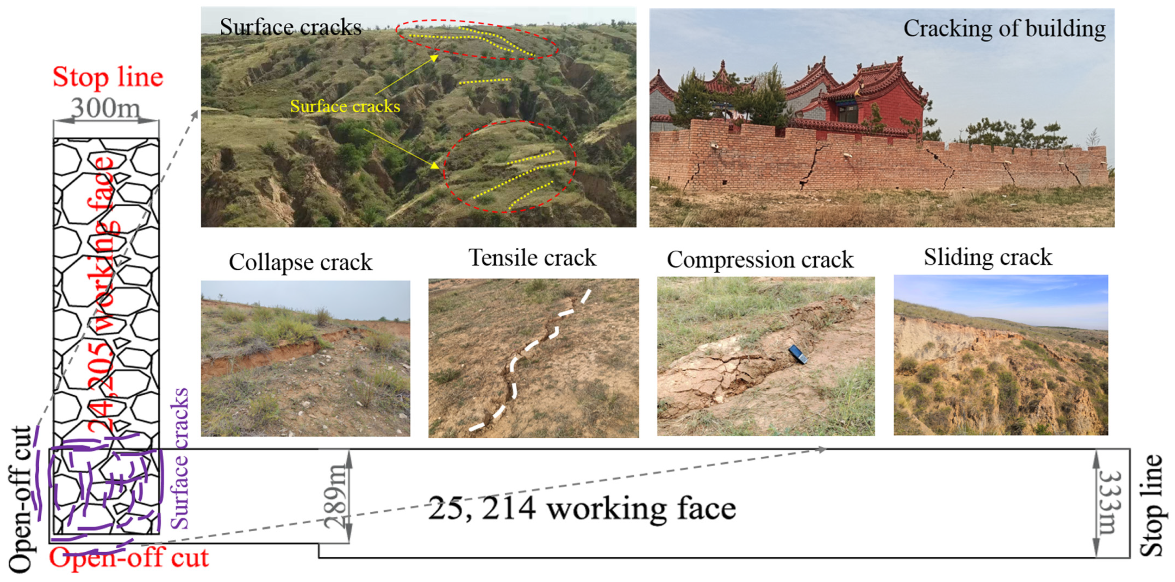 Applsci 15 02649 g007