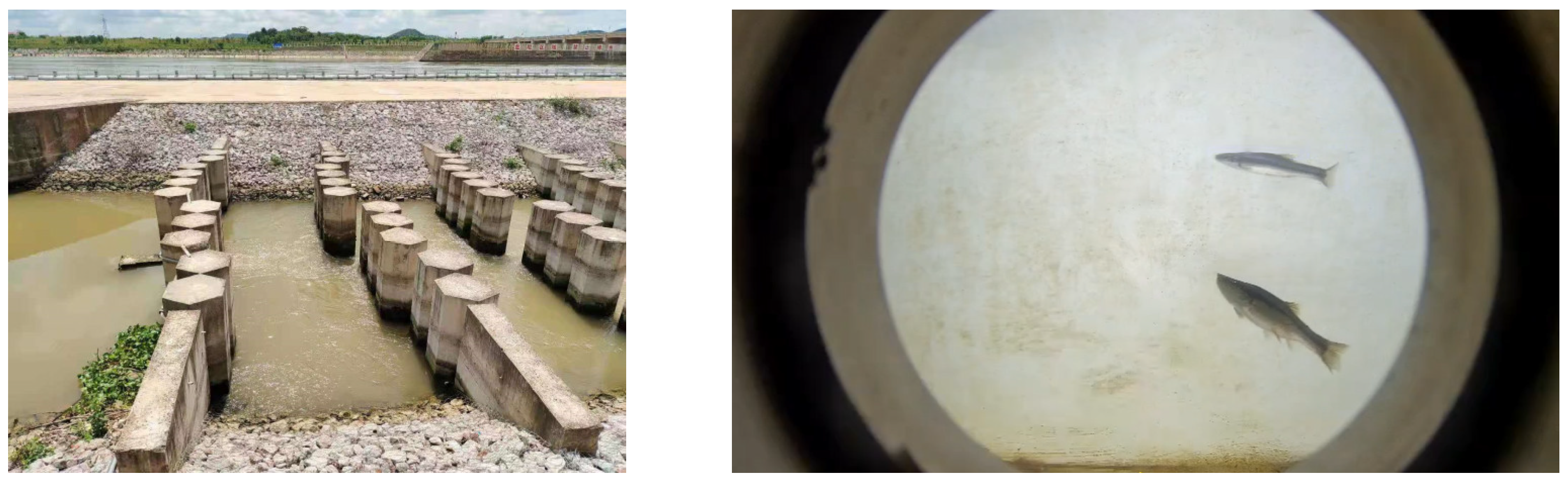 Applsci 15 02743 g001