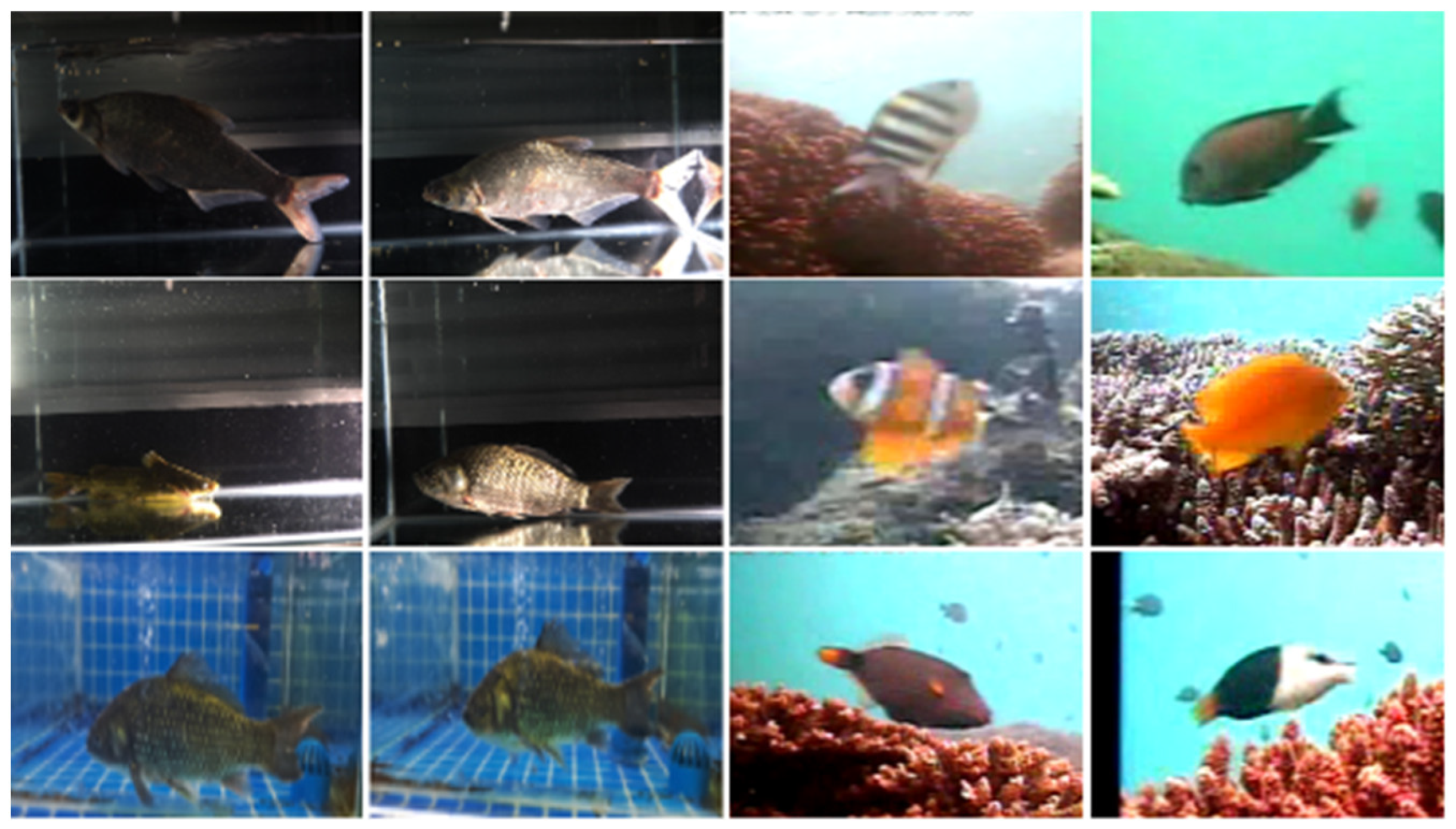 Applsci 15 02743 g005