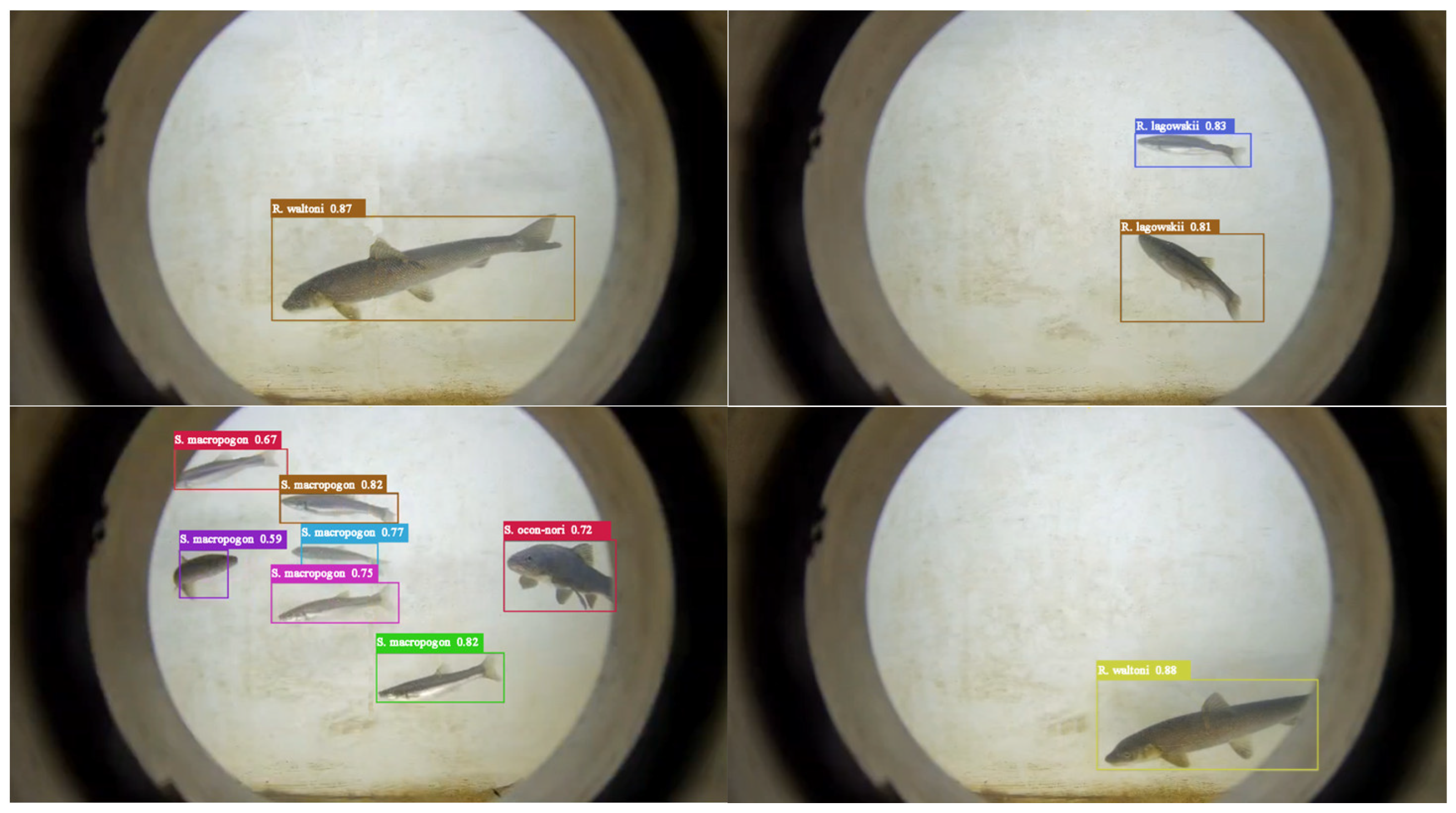 Applsci 15 02743 g010