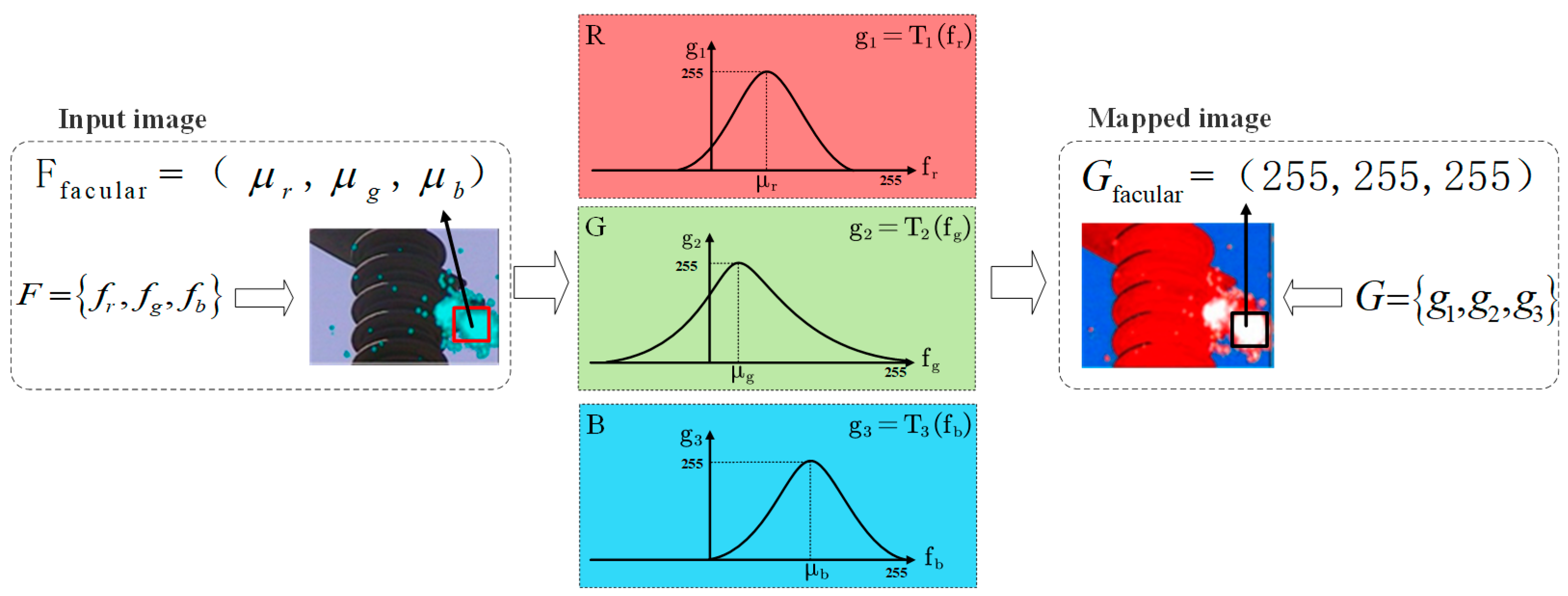Applsci 15 02837 g004