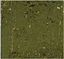 Applsci 15 02842 i001