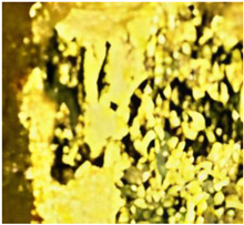 Applsci 15 02842 i003