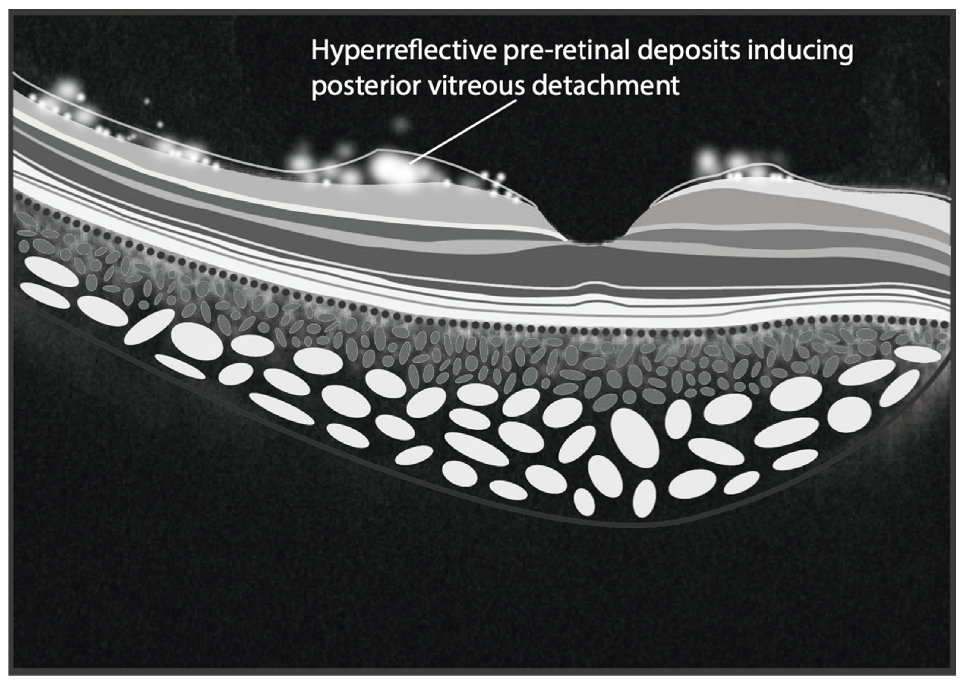Applsci 15 02863 g002