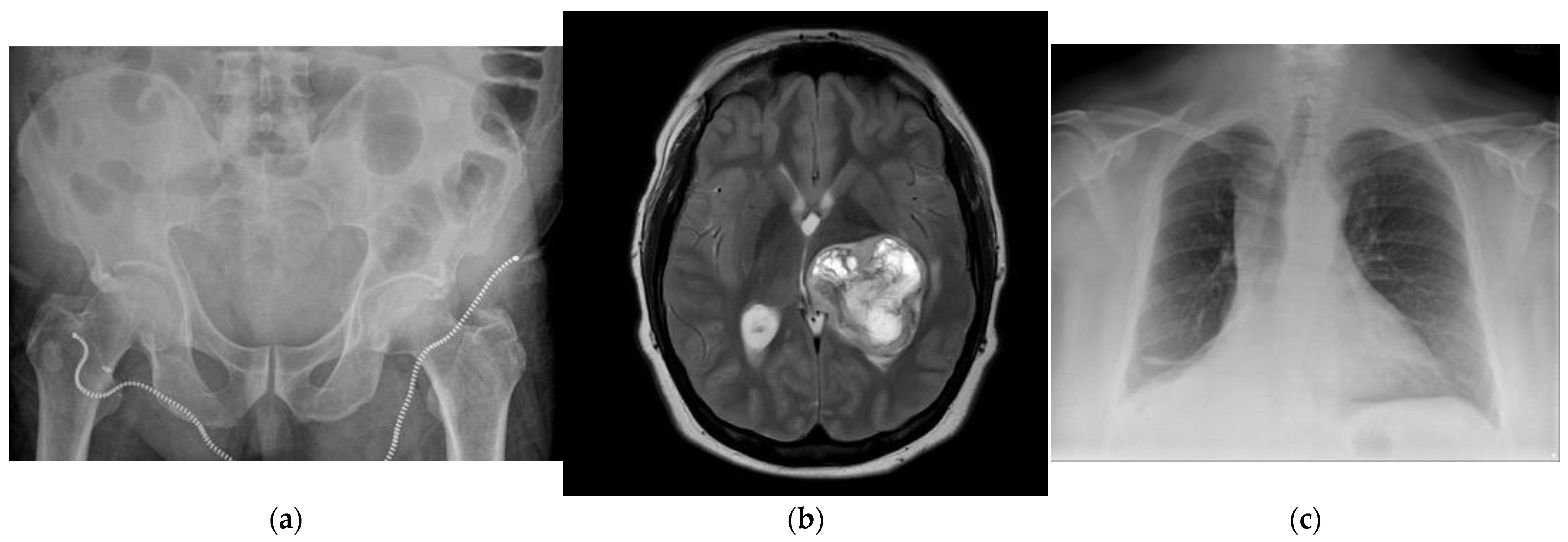 Applsci 15 02939 g008