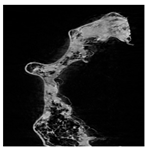 Applsci 15 02988 i002 Applsci 15 02988 i002