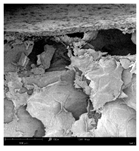 Applsci 15 02988 i004 Applsci 15 02988 i004