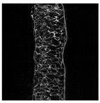 Applsci 15 02988 i005 Applsci 15 02988 i005