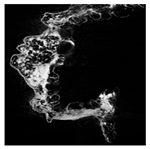 Applsci 15 02988 i008 Applsci 15 02988 i008