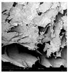 Applsci 15 02988 i010 Applsci 15 02988 i010