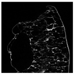 Applsci 15 02988 i011 Applsci 15 02988 i011