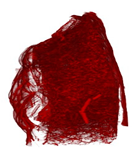 Applsci 15 02988 i012 Applsci 15 02988 i012