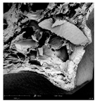 Applsci 15 02988 i013 Applsci 15 02988 i013