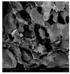 Applsci 15 02988 i016 Applsci 15 02988 i016