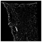 Applsci 15 02988 i017 Applsci 15 02988 i017