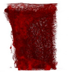 Applsci 15 02988 i018 Applsci 15 02988 i018