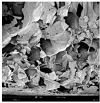 Applsci 15 02988 i022 Applsci 15 02988 i022