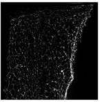 Applsci 15 02988 i023 Applsci 15 02988 i023