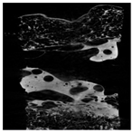 Applsci 15 02988 i026 Applsci 15 02988 i026