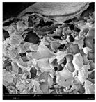 Applsci 15 02988 i028 Applsci 15 02988 i028